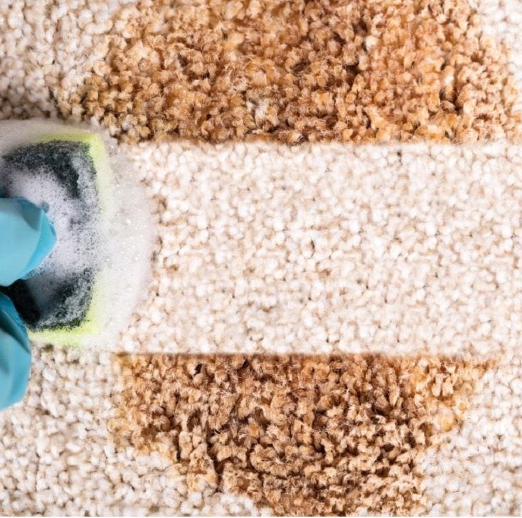 THE BEST WAYS TO CLEAN CARPETS. A beautiful, fluffy and immaculately