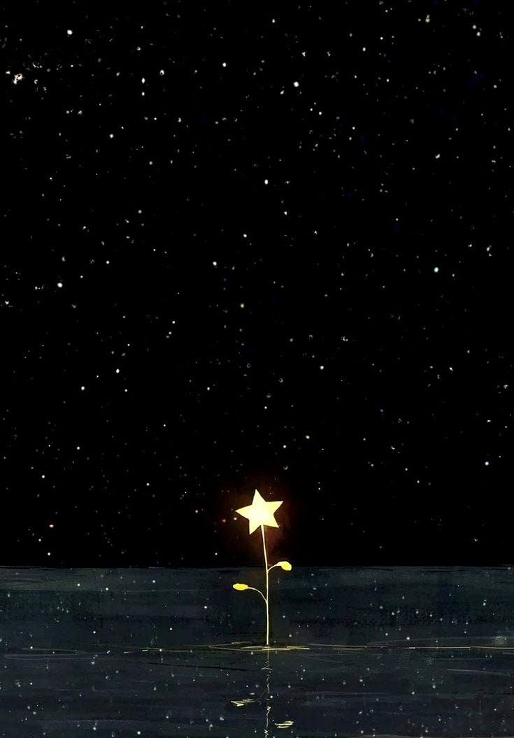One Star