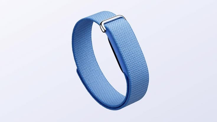 7 Trusted Websites to Buy the Google Fitbit Google Fitbit Air Online in India