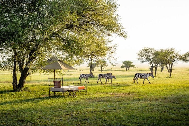 Grumeti Game Reserve