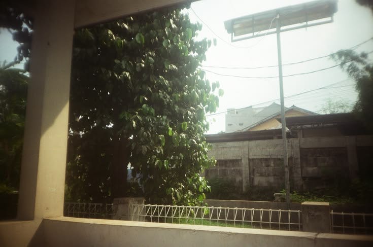 mekar dalam sunyi
