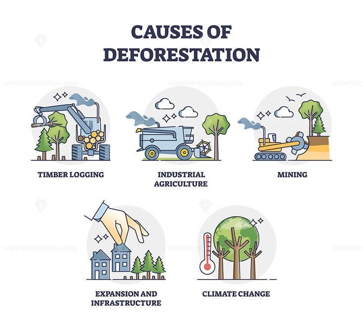 Effects and Impacts of Deforestation Cutting of trees🌲🌳🌴 by Saba
