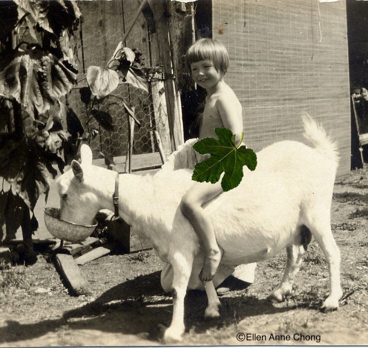 Naked on a Goat. A full-circle ride | by Ellen Anne Chong | The Wind