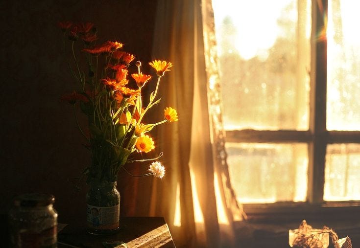Where the Ordinary Begins to Glow