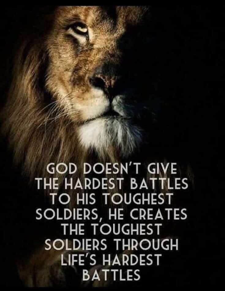 “Leadership Attributes Of a LION” | by Beenish Razzaq | Medium
