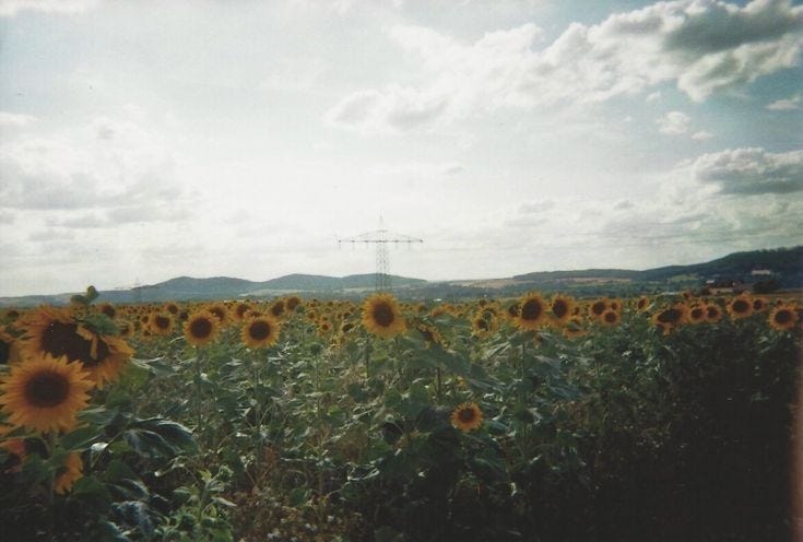 She’s the poetry she cannot write. | by Nahalka's Point Of View | Feb ...