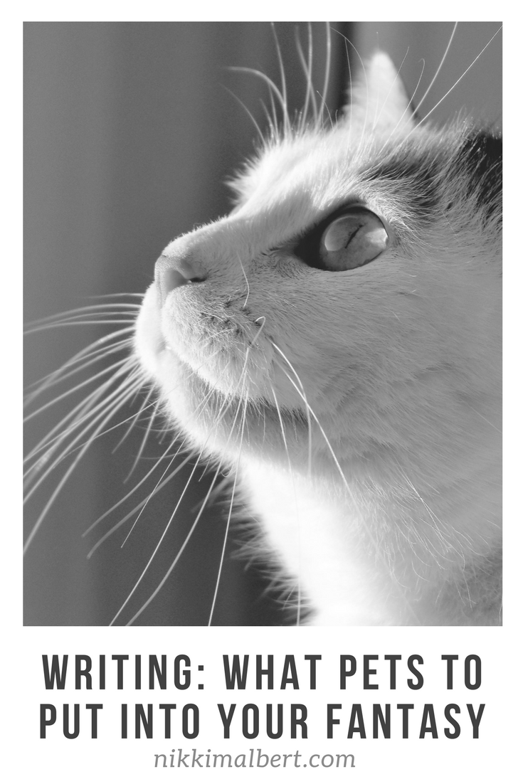 What pets to put in your fantasy fiction by N. Albert Medium