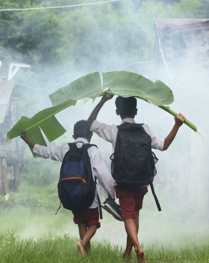 Sumber Gambar: Pinterest