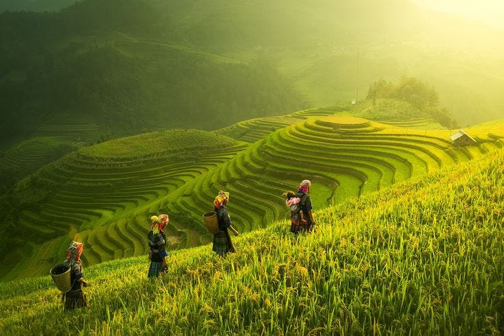 Desa-Desa yang Diam-Diam Menghidupi Kota