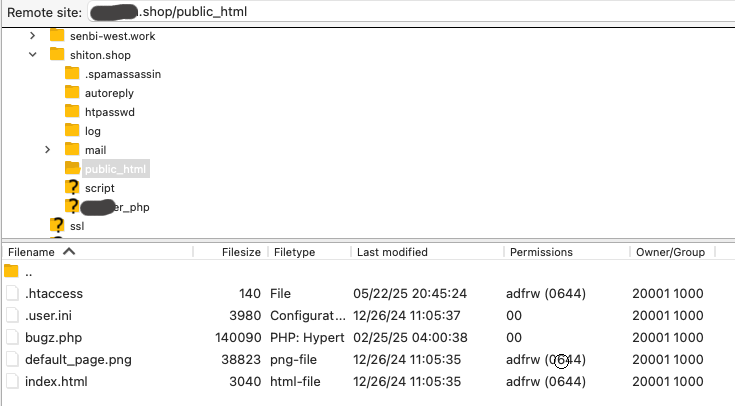 Obfuscated payload designed to bypass security scanners by masking its true intent.
