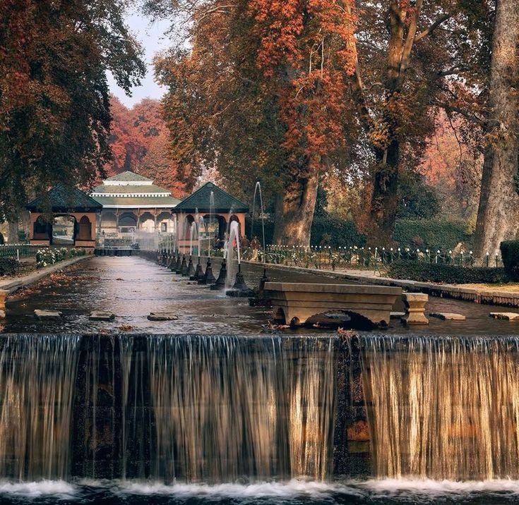 Autumn in Kashmir: A Complete Guide to the Valley in Golden Colors