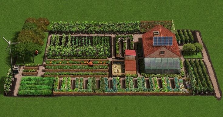 Image showcasing Build an Off-Grid Cabin in the Woods and Turn it Into a Profitable ...