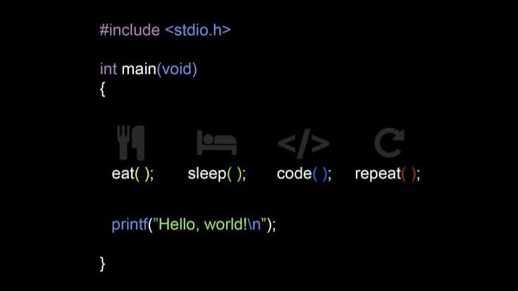 Diving into Python for the project took me on an unexpected journey ...