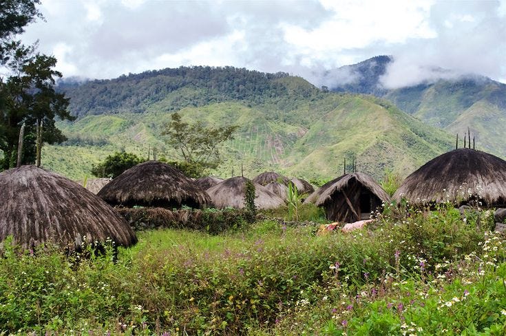 Model pertanian yg bertahan 6000 th di Papua