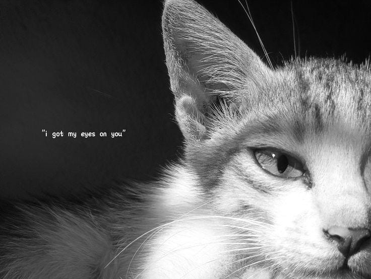 Why Do I Wake Up And Missing Someone I Tried to Forget?