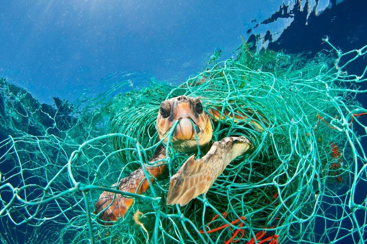 Marine Habitats Destruction. Jika dilihat pada peta, terlihat jelas ...