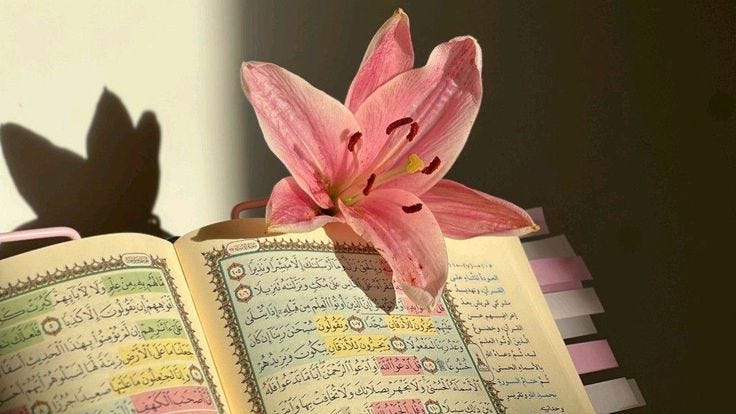 You might be asking ٱللَّٰه for a flower, while He has prepared a garden for you.