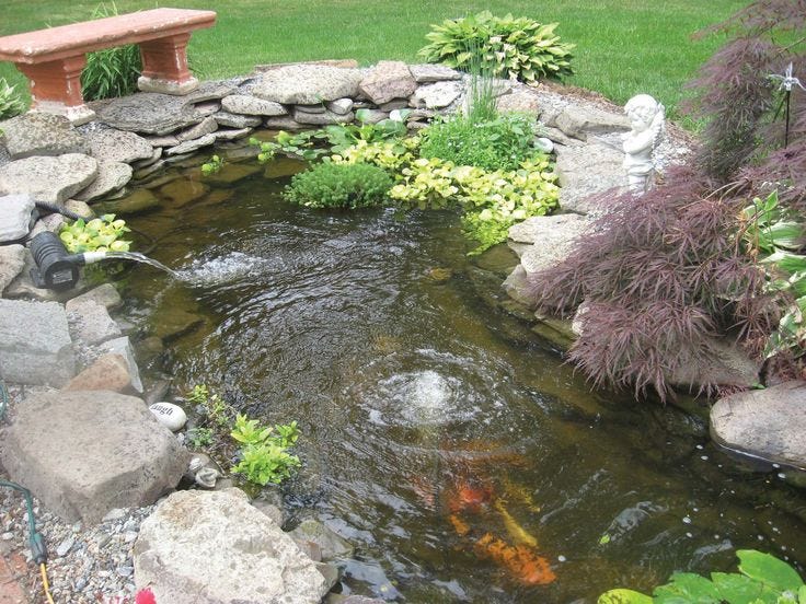Stop That Pond Leak! An Easy Guide for Fixing Your Leaky Pond by