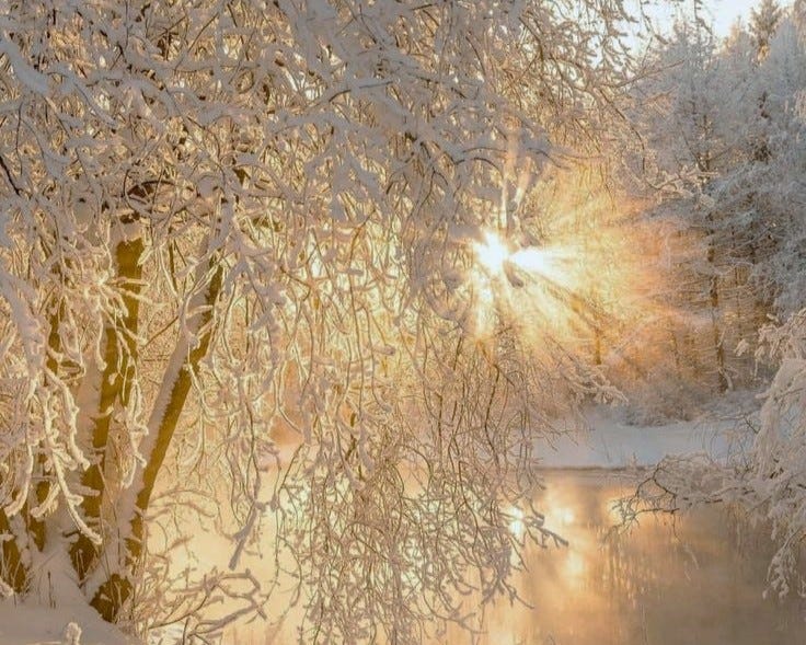 Season When I Love