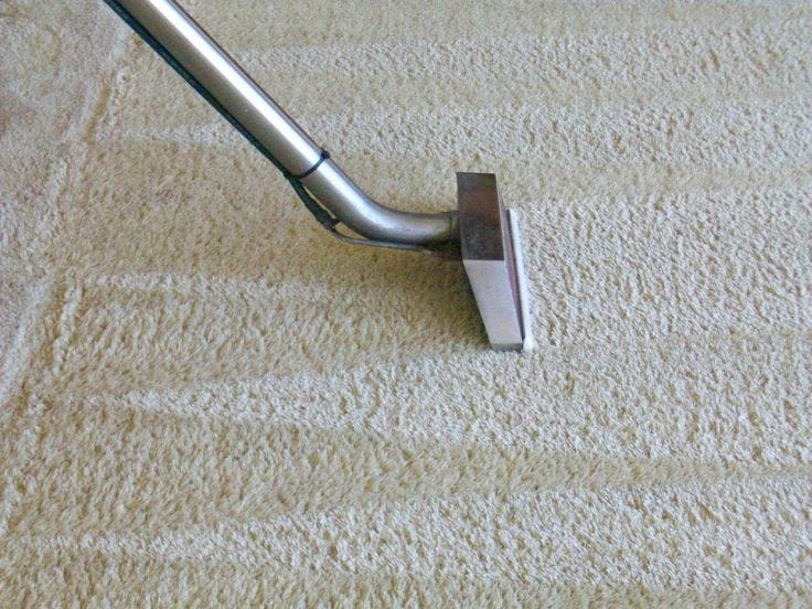 Why You Should Clean Your Wet And Dirty Carpets Correctly by Target