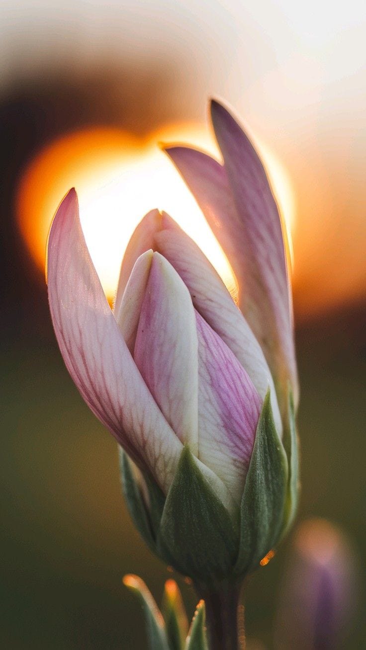 Hand in Hand — Renewal in Motion(Writing Challenge)
