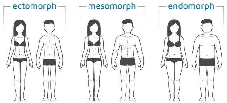 How to determine your body type  How to take your measurements