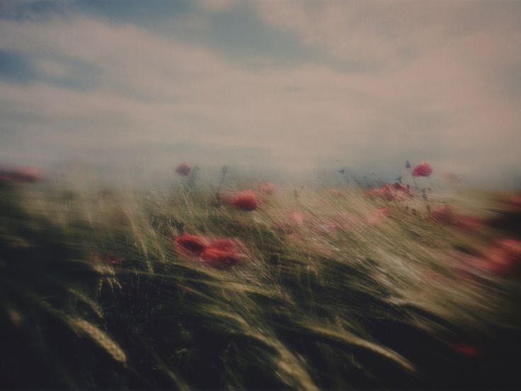 Heaven, Then After