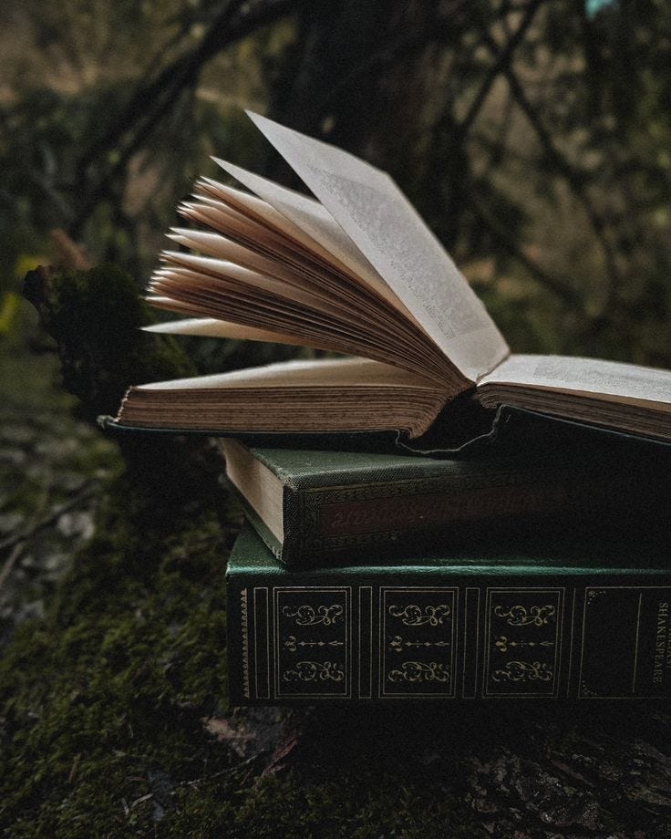 The best Mystery Novels for this Summer by Tiffany Kristen Oct