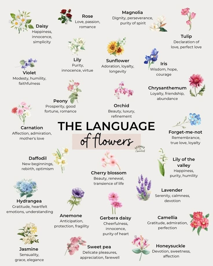 The Language of Flowers . A Guide to Floral Symbolism The human… by