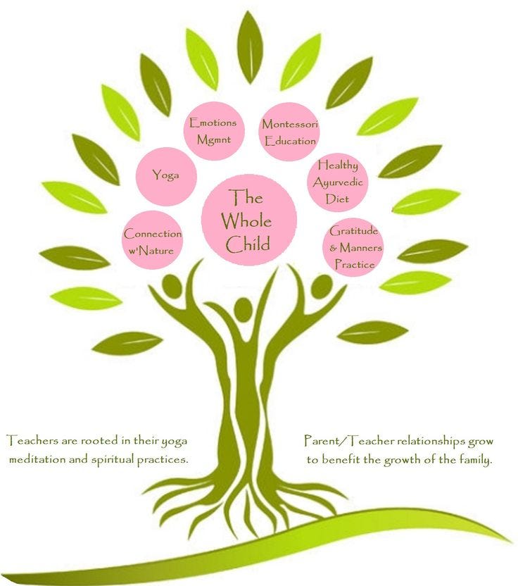 why-holistic-approach-in-education-has-become-mandatory-in-almost-all