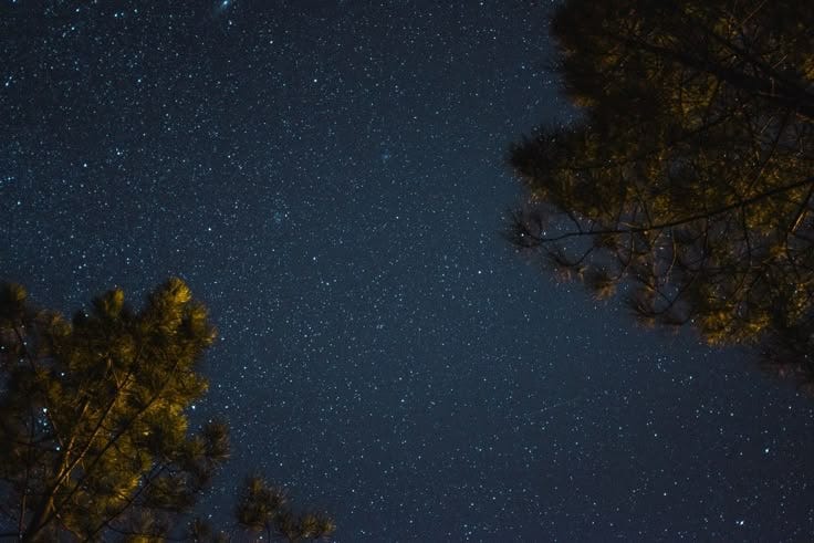 The cold, gentle breeze blows through my hair, my skin tingles at its touch.