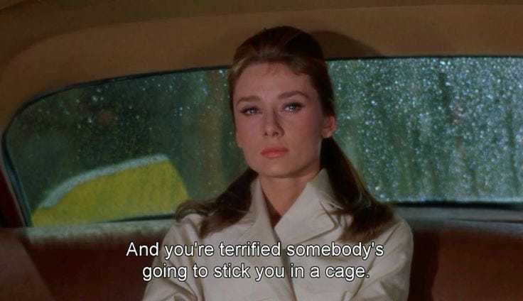 The Cage I Built : Love is a Poison for a Woman with Ambition