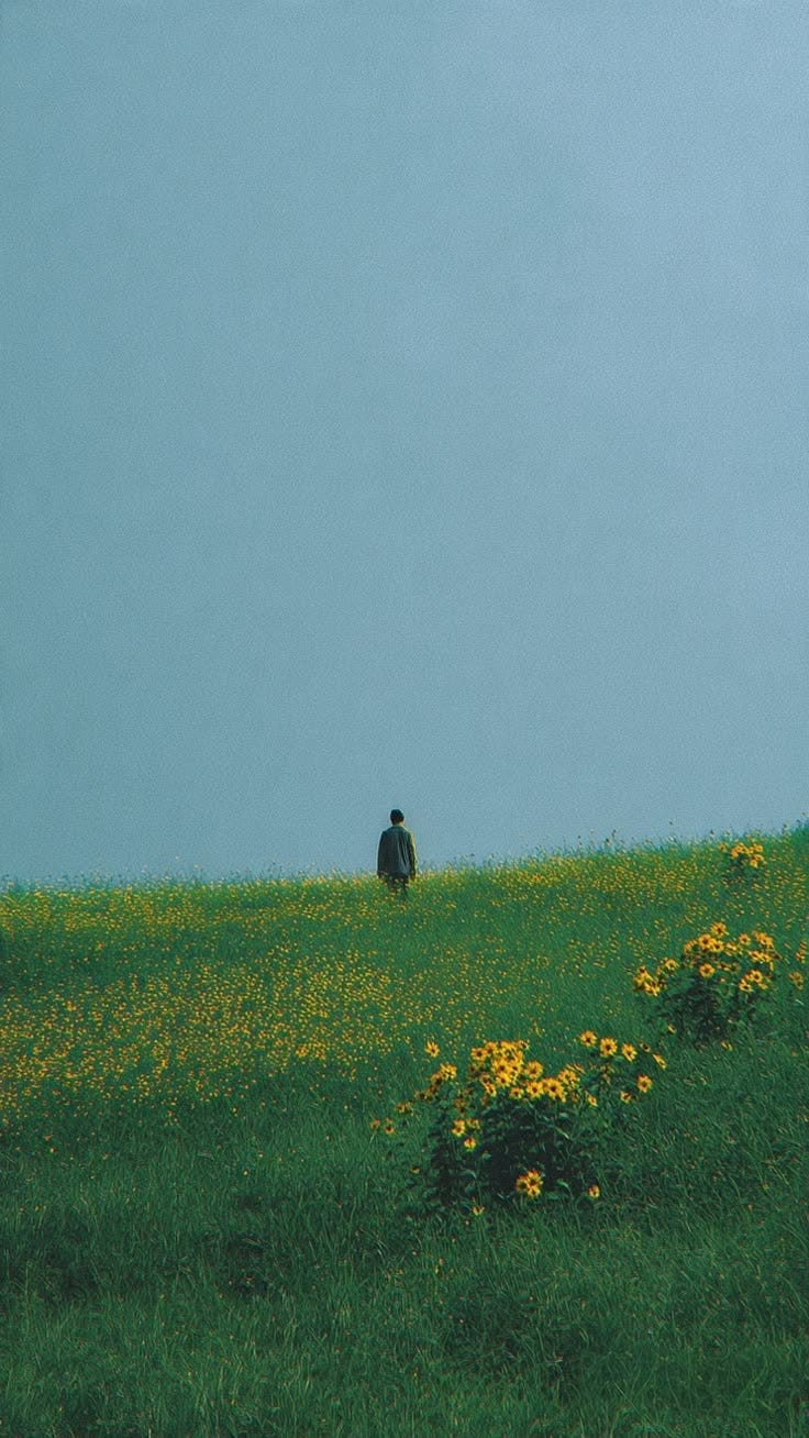 Finding Beauty in a Harsh World