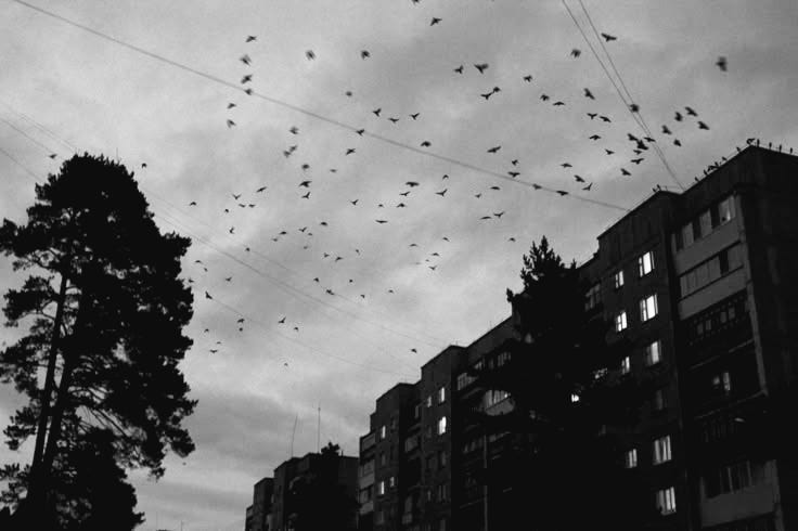 — prologue.