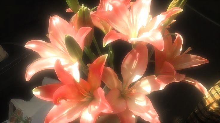 Las flores como mi metáfora de amor.