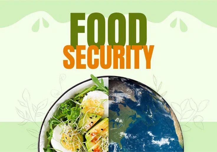 Food security. Food Security: A Basic Human Right | by Aqib_Khokhar07 ...