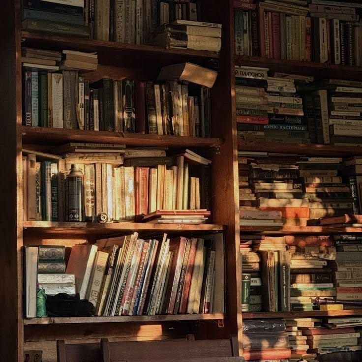alexandra’s bookstore