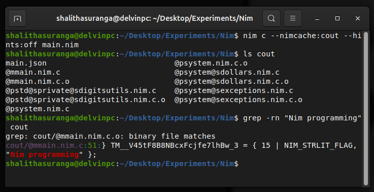 Inspecting auto-generated C source files, a screenshot by the author