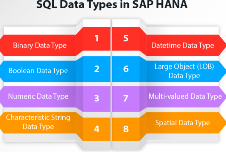 8 SQL Data Types in SAP HANA — Must check the Sixth one