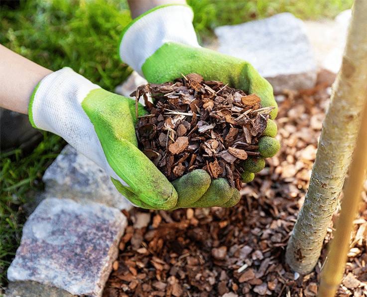 Mulch: Different Types, Benefits, and How to Apply | by Wholesale Wood ...