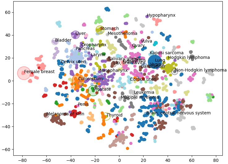 Exploring cancer types with neo4j | by David Wells | Towards Data Science