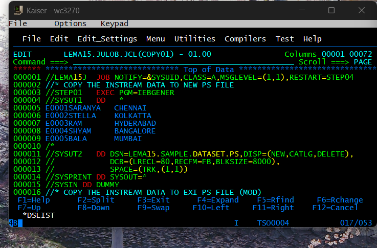 11 Days into My First Job Experience and Mainframe | z/os
