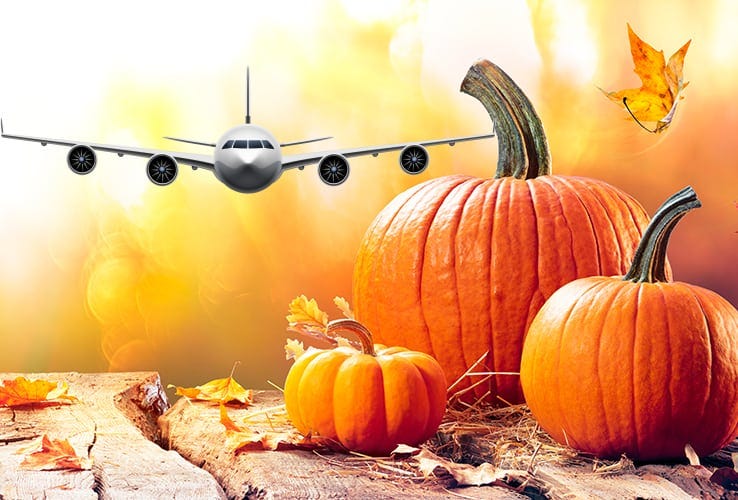 Cheap Flights For Halloween 2023 (+18003649405) by flyopedia