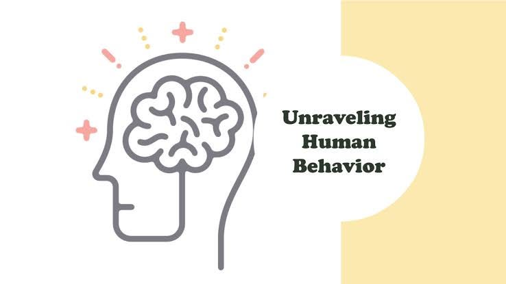 Brain and Human Behavior' What’s the connection?? | by Hannah | Medium