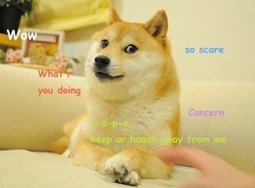 such origins, much doge, wow. Ever wonder what your dog is thinking… | by  christina su | Medium