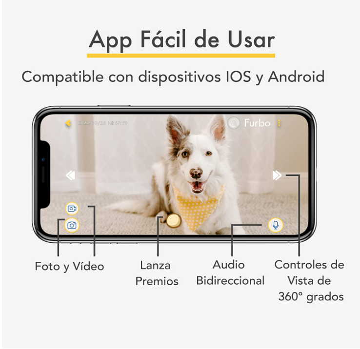 The Essential Guide to Dog Cameras An InDepth Look into the Benefits