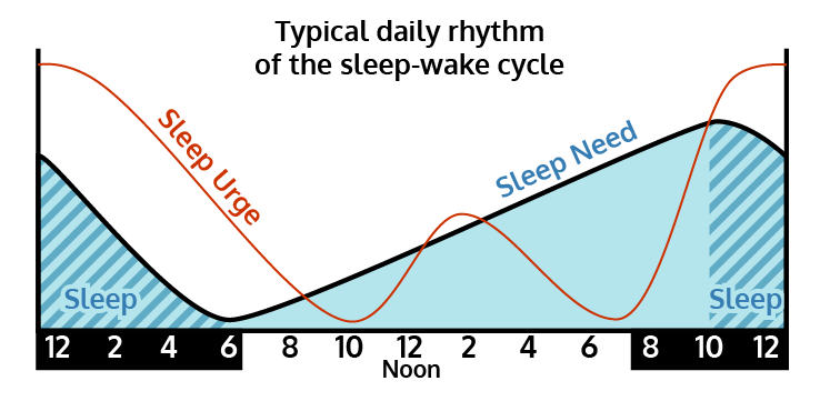wakefulness and sleep quality