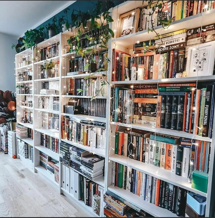 Online Book Stores in Pakistan A Digital Heaven for Book Readers by Brucewilliam Medium