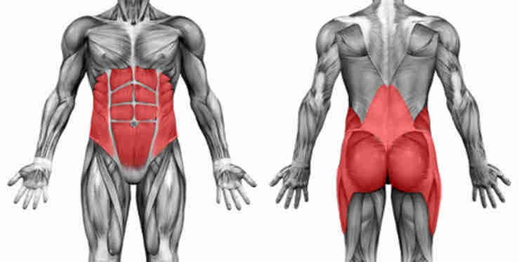 What are some exercises that target all of your core muscle groups