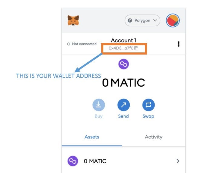 Setting up Metamask for Polygon (Matic Network) Frodo Tech Medium